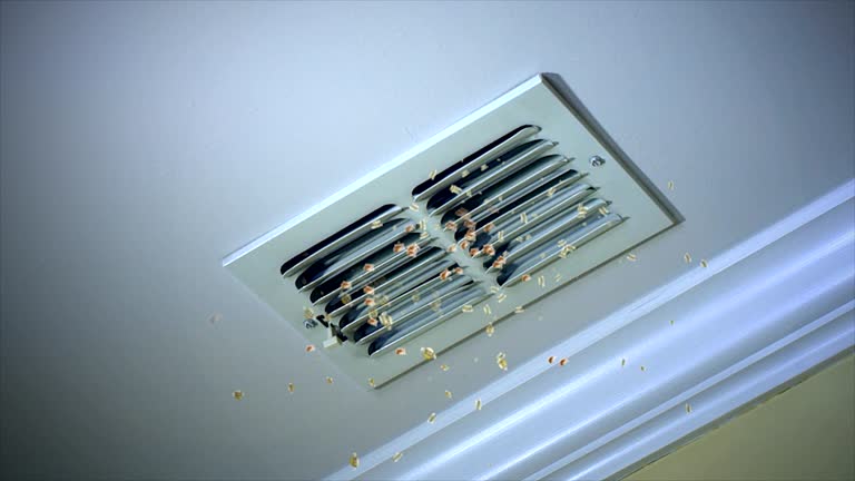 Best Residential Air Duct Cleaning  in Brazoria, TX