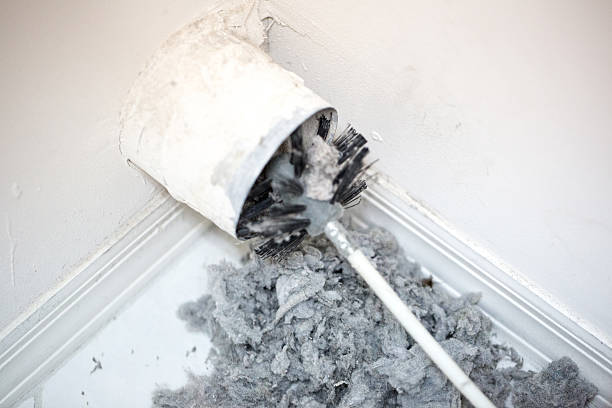 Best Air Duct Cleaning Near Me  in Brazoria, TX